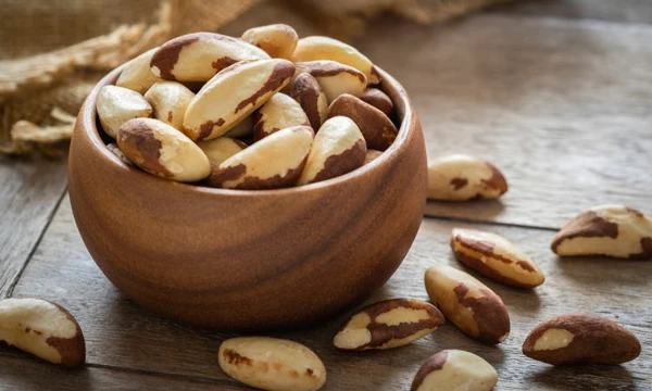 Bolivia Seen Decent Growth in Brazil Nut Exports in 2014 